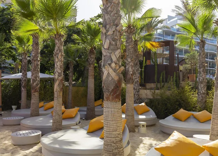 Elegant Luxury With Terrace In Higueron Daire